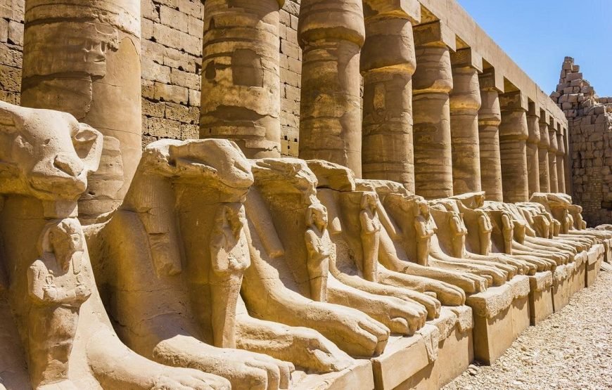Full Day Tour Un Forgetable From Cairo To Luxor By Plane ( Highlights )